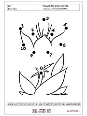 sayıları birleştir resmi tamamla